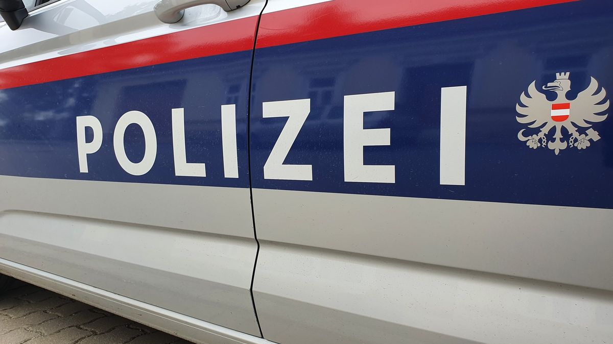 Českému řidiči v Rakousku vběhl před kamion muž. Tragickému střetu nedokázal zabránit